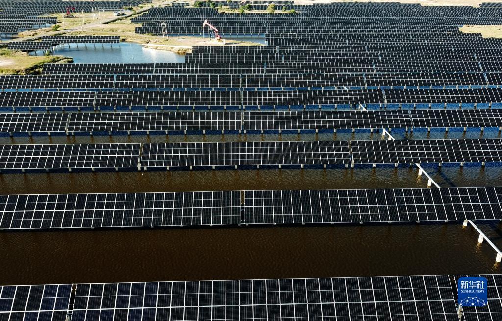 禅游游戏捕鱼